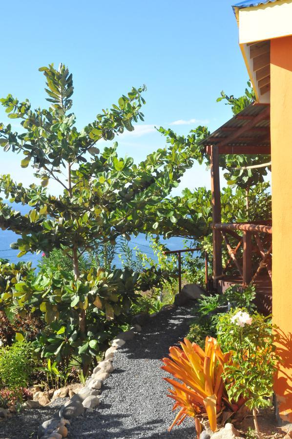 Mango Island Lodges Saint Joseph Extérieur photo