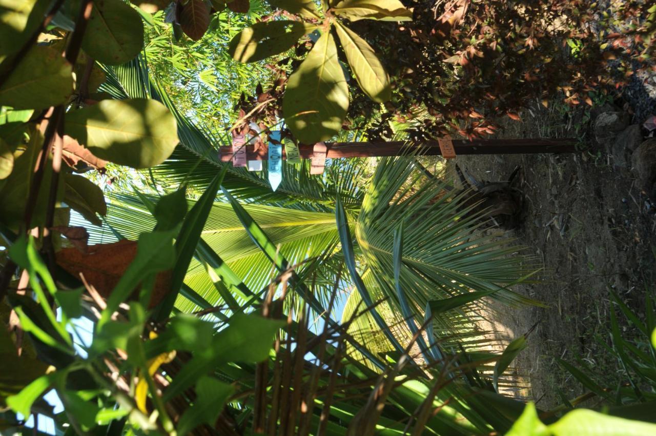 Mango Island Lodges Saint Joseph Extérieur photo